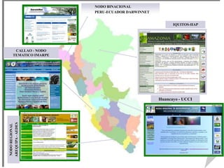 Huancayo - UCCI
NODO BINACIONAL
PERU-ECUADOR DARWINNET
CALLAO - NODO
TEMATICO IMARPE
NODO
REGIONAL
AREQUIPA
-
AEDES
IQUITOS-IIAP
 