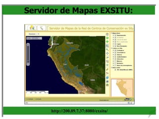 Servidor de Mapas EXSITU:
http://200.89.7.37:8080/exsitu/
 