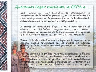 Queremos llegar mediante la CEPA a……
Que exista un mejor entendimiento, participación y
compromiso de la sociedad peruana y en sus autoridades de
todo nivel y sector en la conservación de la biodiversidad,
entendiéndola como un recurso estratégico del país.
A través de Indicadores llegar a un Incremento en el
número de iniciativas empresariales para utilizar
sosteniblemente productos de la biodiversidad (bionegocios)
y en movimiento económico general y de exportaciones.
Tema de biodiversidad ocupa un lugar en la agenda de la
opinión pública (menciones en los medios de difusión
masiva) y de la política nacional (mensajes de políticos y
autoridades).
Actores clave de la política nacional, autoridades y figuras
públicas participan en certámenes públicos, celebraciones
del calendario ambiental y otros eventos, manifestando
compromiso y conocimiento, generando un sentimiento de
orgullo – y de responsabilidad- por ser un país
megadiverso.
 