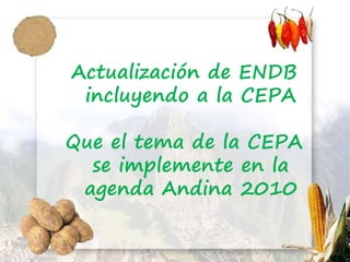 Actualización de ENDB
incluyendo a la CEPA
Que el tema de la CEPA
se implemente en la
agenda Andina 2010
 