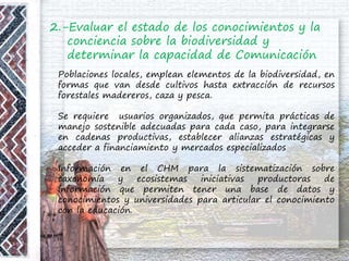 2.-Evaluar el estado de los conocimientos y la
conciencia sobre la biodiversidad y
determinar la capacidad de Comunicación
Poblaciones locales, emplean elementos de la biodiversidad, en
formas que van desde cultivos hasta extracción de recursos
forestales madereros, caza y pesca.
Se requiere usuarios organizados, que permita prácticas de
manejo sostenible adecuadas para cada caso, para integrarse
en cadenas productivas, establecer alianzas estratégicas y
acceder a financiamiento y mercados especializados
Información en el CHM para la sistematización sobre
taxonomía y ecosistemas iniciativas productoras de
información que permiten tener una base de datos y
conocimientos y universidades para articular el conocimiento
con la educación.
 