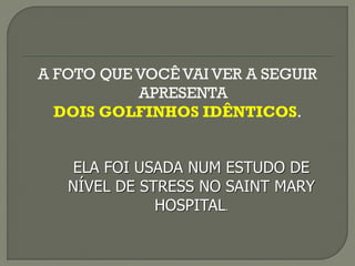 A FOTO QUE VOCÊ VAI VER A SEGUIR
APRESENTA
DOIS GOLFINHOS IDÊNTICOS.
ELA FOI USADA NUM ESTUDO DE
NÍVEL DE STRESS NO SAINT MARY
HOSPITAL.
 