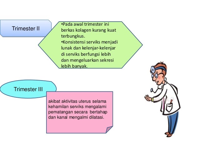 Perubahan anatomi dan adaptasi fisiologi ibu hamil