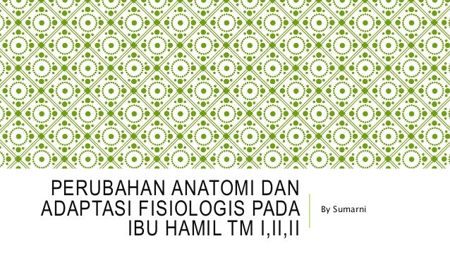 Perubahan Anatomi Dan Adaptasi Fisiologis Pada Ibu Hamil