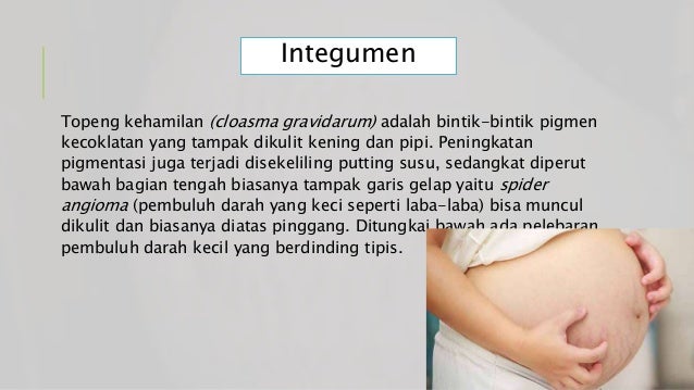 Perubahan Anatomi Dan Adaptasi Fisiologis Pada Ibu Hamil Perubahan Anatomi Dan Adaptasi Fisiologis Pada Ibu Hamil