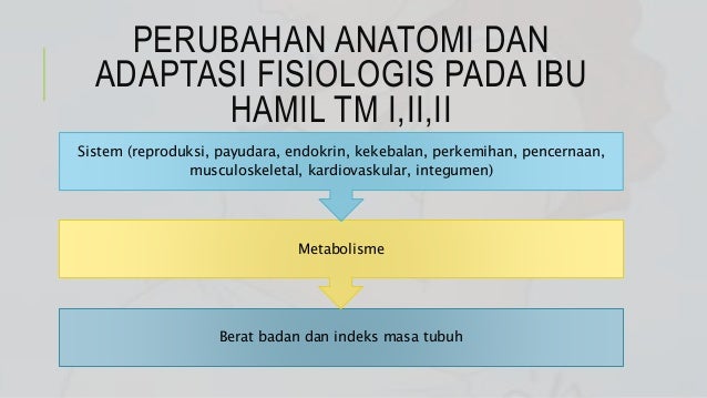 Perubahan Anatomi Dan Adaptasi Fisiologis Pada Ibu Hamil