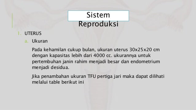 Ukuran Berat Janin 28 Minggu - Soalan ay