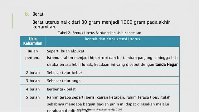 Perubahan anatomi dan adaptasi fisiologis pada ibu hamil