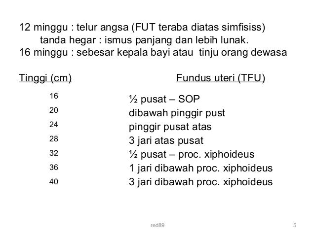 Perubahan anatomik fisiologik pada wanita hamil[hj d]