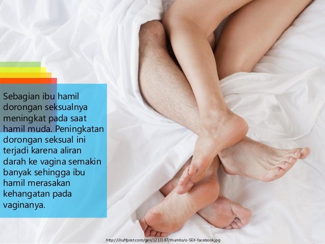 Perubahan Dan Adaptasi Psikologis Pada Ibu Hamil