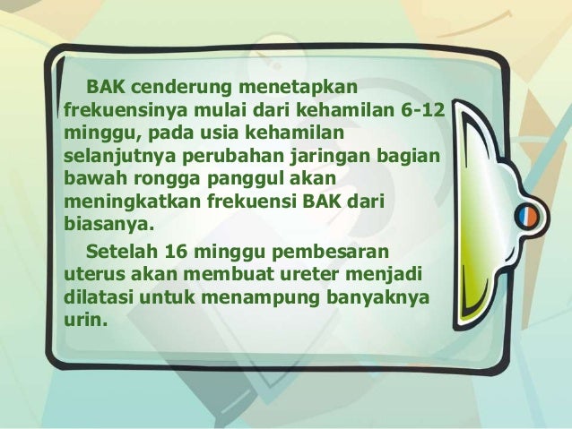 Perubahan Fisik Pada Ibu Hamil Kelompok 1