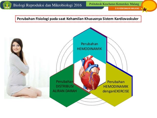 Perubahan Fisiologi Sistem Kardiovaskuler Pada Masa Kehamilan