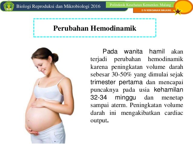Perubahan Fisiologi Sistem Kardiovaskuler Pada Masa Kehamilan