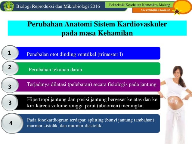 Perubahan Fisiologi Sistem Kardiovaskuler Pada Masa Kehamilan