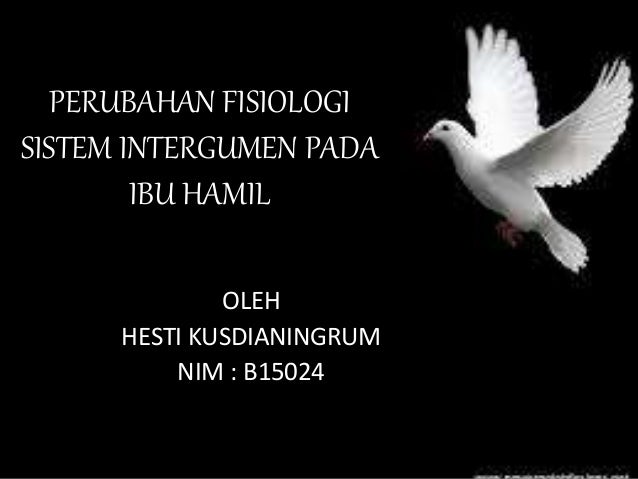 Perubahan Fisiologi Sistem Intergumen Pada Ibu Hamil