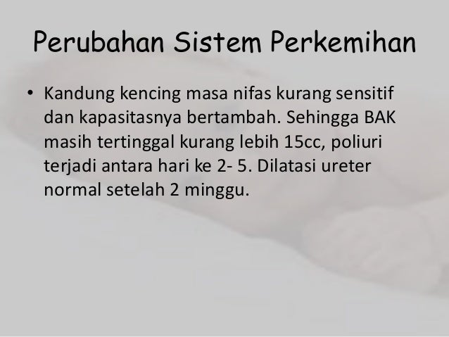 Perubahan Fisiologis Masa Nifas Perubahan Fisiologis Masa Nifas