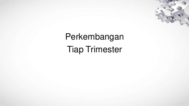 Perubahan Pada Masa Kehamilan Pada Ibu Hamil