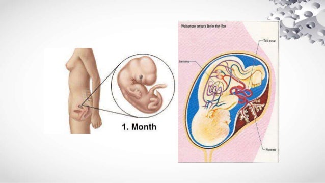 Perubahan Pada Masa Kehamilan Pada Ibu Hamil