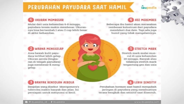 Perubahan Pada Masa Kehamilan Pada Ibu Hamil