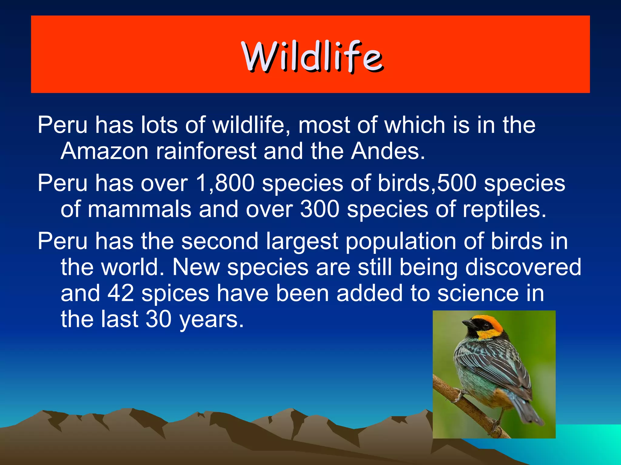 Wildlife Peru has lots of wildlife, most of which is in the Amazon rainforest and the Andes.  Peru has over 1,800 species of birds,500 species of mammals and over 300 species of reptiles. Peru has the second largest population of birds in the world. New species are still being discovered and 42 spices have been added to science in the last 30 years.  