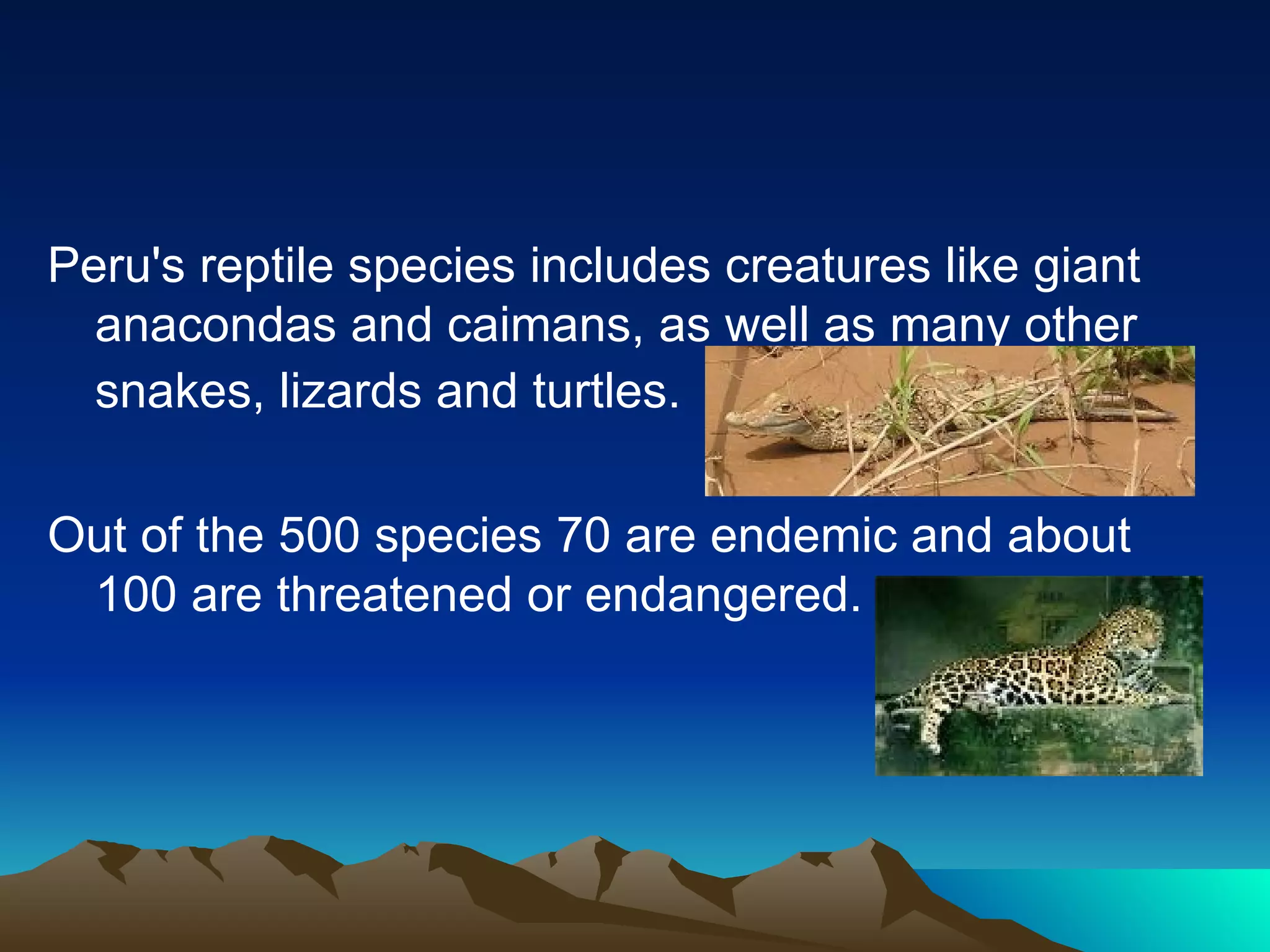 Peru's reptile species includes creatures like giant anacondas and caimans, as well as many other snakes, lizards and turtles.   Out of the 500 species 70 are endemic and about 100 are threatened or endangered. Peru's reptile fauna 
