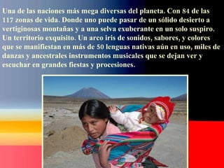 Una de las naciones más mega diversas del planeta. Con 84 de las 117 zonas de vida. Donde uno puede pasar de un sólido desierto a vertiginosas montañas y a una selva exuberante en un solo suspiro. Un territorio exquisito. Un arco iris de sonidos, sabores, y colores que se manifiestan en más de 50 lenguas nativas aún en uso, miles de danzas y ancestrales instrumentos musicales que se dejan ver y escuchar en grandes fiestas y procesiones. 