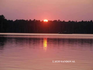 LAGO SANDOVAL 