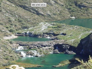 HUANCAYA 