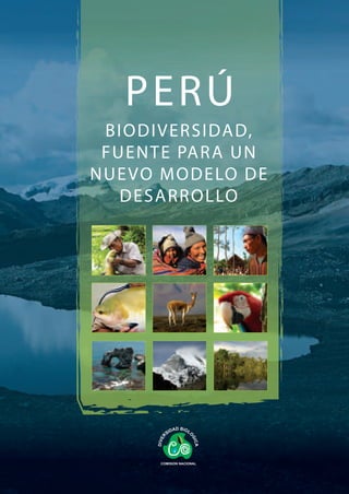 PERÚ: BIODIVERSIDAD, FUENTE PARA UN NUEVO
            MODELO DE DESARROLLO




  Áreas Naturales Protegidas



                                                                     16 ANP abastecen de Agua a 2.7 millones de peruanos

                                                                     60.81% de la energía hidroeléctrica proviene de estas áreas

                                                              10.5 millones de Ha. de bosques húmedos tropicales de llanura

                                                       5.4 millones de Ha. de bosques húmedos tropicales de montaña
                                                                                                                                                                      PERÚ
                                                                                                                                                                    BIODIVERSIDAD,
                                                     15% del área cultivada es regada por el agua de 12 Áreas Protegidas de 8 regiones



      12 Parques Nacionales
        9 Santuarios Nacionales
       4 Santuarios Históricos
           13 Reservas Nacionales
                                                                                                                                                                    FUENTE PAR A UN
                                                                                                                                                                   NUE VO MODELO DE
             2 Refugios de Vida Silvestre
                6 Bosques de Protección
                2 Reservas Paisajísticas
                   8 Reservas Comunales
                       2 Cotos de Caza
                               12 Zonas Reservadas                                                                                                                    DESARR OLLO
En el Perú las ANP son una de las herramientas más importantes para conservar gran parte de
la enorme diversidad biológica del país.



   BIODIVERSIDAD EN CIFRAS
   • La cobertura boscosa de las ANP del Perú almacenarían 3901 millones de
     tC, con un valor de 127 millones de dólares.
   • 128 de las áreas más importantes para observación de aves (IBA) están en
     Perú.
   • En una ha de cultivo tradicional de papas en el sureste del Peru hay hasta
     tres especies y diez variedades de papa (más que todas las


                                                                                                                                         GIACOMOTTI: 98-127*0046
     especies y variedades de papa cultivadas en América del Norte).
   • Las 2020 especies de peces marinos y continentales del Perú, son más que
     todas las del Océano Atlántico.
   • El Perú posee los principales hábitats para los camélidos sudamericanos
     (llamas, vicuñas, alpacas y guanacos).
   • Perú tiene cerca de 3 000 variedades de papa, algunas de las cuales aún
     pueden ser encontradas en forma silvestre.
   • Una de cada cinco especies de mariposas se encuentran en el Perú.
   • Alrededor de 5000 millones de US$ provienen del uso de recursos
     hidrobiológicos, recursos forestales y turismo a la naturaleza.


                                                                                                    Ministerio del Ambiente
                Ministerio                                            SERNANP                       webmaster@minam.gob.pe
                                                                                   PERÚ
                del Ambiente                                                                        www.minam.gob.pe

                                                                                                    Agradecimiento especial:
                                                                                                    Cooperación Técnica Alemana (GTZ)
 