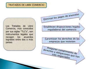 Violación de los derechos humanos.