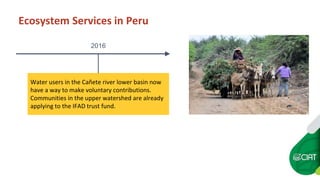 Peru's ecosystem services law