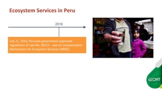 Peru's ecosystem services law
