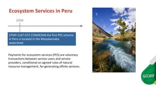 Peru's ecosystem services law