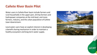 Peru's ecosystem services law