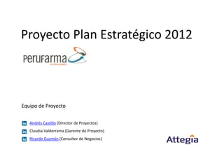 Proyecto Plan Estratégico 2012
Equipo de Proyecto
Andrés Castillo (Director de Proyectos)
Claudia Valderrama (Gerente de Proyecto)
Ricardo Guzmán (Consultor de Negocios)
 