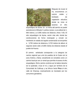 Después de cruzar el
río, encontramos un
camino visible y
bordeado de
vegetación arbustiva
donde se inicia el
ascenso al sitio
arqueológico de Aynas. En un tramo del camino se puede
acondicionar el Mirador 5, pórtico rocoso, a una altitud de 3,
648 metros y a 5,590 metros de distancia. (Hora 1.40). El
sitio arqueológico de Aynas, sector más alto, donde las
construcciones de forma rectangular y circular se
mantienen en estado de regular conservación se encuentra
a 5,750 metros de distancia y 3,723 metros de altitud, el
segundo sector está a 6,000 metros de distancia desde el
pueblo de Huaros.
El camino señalizado corresponde a la categoría de
camino regional que unía los pueblos de la Costa con la
zona Andina y Selva; actualmente se considera como un
camino local por ser un ramal que permite el acceso al sitio
arqueológico. Dicho camino continúa por la ladera derecha
de la quebrada, cruza el río y sigue por territorio de la
Comunidad de Cullhuay y se bifurca hacia Pirca al otro
valle de Chancay, eventualmente es transitado por los
comuneros ganaderos.
 