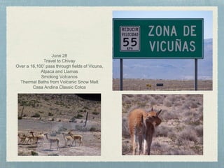 June 28
Travel to Chivay
Over a 16,100’ pass through fields of Vicuna,
Alpaca and Llamas
Smoking Volcanos
Thermal Baths from Volcanic Snow Melt
Casa Andina Classic Colca
 