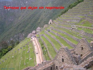Peru Los Incas