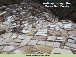 Walking through the
Maras Salt Ponds
Peru & Mystical Machu Picchu
 