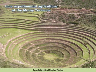 Peru & Mystical Machu Picchu
 