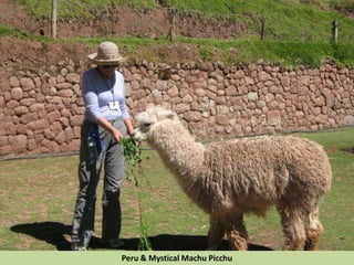 Peru & Mystical Machu Picchu
 
