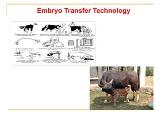 Perumal reproductive management in mithun | PPT