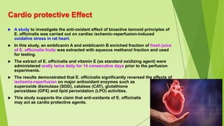 Cardio protective Effect
 A study to investigate the anti-oxidant effect of bioactive tannoid principles of
E. officinalis was carried out on cardiac ischemic-reperfusion-induced
oxidative stress in rat heart.
 In this study, an emblicanin A and emblicanin B enriched fraction of fresh juice
of E. officinalis fruits was extracted with aqueous methanol fraction and used
for testing.
 The extract of E. officinalis and vitamin E (as standard oxidizing agent) were
administered orally twice daily for 14 consecutive days prior to the perfusion
experiments.
 The results demonstrated that E. officinalis significantly reversed the effects of
ischemia-reperfusion on major antioxidant enzymes such as
superoxide dismutase (SOD), catalase (CAT), glutathione
peroxidase (GPX) and lipid peroxidation (LPO) activities.
 This study supports the claim that anti-oxidants of E. officinalis
may act as cardio protective agents.
 