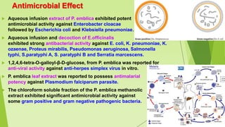 Antimicrobial Effect
 Aqueous infusion extract of P. emblica exhibited potent
antimicrobial activity against Enterobacter cloacae
followed by Escherichia coli and Klebsiella pneumoniae.
 Aqueous infusion and decoction of E.officinalis
exhibited strong antibacterial activity against E. coli, K. pneumoniae, K.
ozaenae, Proteus mirabilis, Pseudomonas aeruginosa, Salmonella
typhi, S.paratyphi A, S. paratyphi B and Serratia marcescens.
 1,2,4,6-tetra-O-galloyl-β-D-glucose, from P. emblica was reported for
anti-viral activity against anti-herpes simplex virus in vitro.
 P. emblica leaf extract was reported to possess antimalarial
potency against Plasmodium falciparum parasite.
 The chloroform soluble fraction of the P. emblica methanolic
extract exhibited significant antimicrobial activity against
some gram positive and gram negative pathogenic bacteria.
 