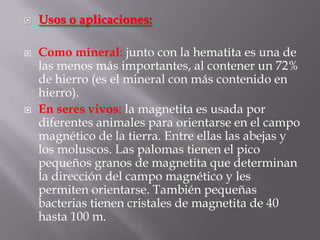    Usos o aplicaciones:

   Como mineral: junto con la hematita es una de
    las menos más importantes, al contener un 72%
    de hierro (es el mineral con más contenido en
    hierro).
   En seres vivos: la magnetita es usada por
    diferentes animales para orientarse en el campo
    magnético de la tierra. Entre ellas las abejas y
    los moluscos. Las palomas tienen el pico
    pequeños granos de magnetita que determinan
    la dirección del campo magnético y les
    permiten orientarse. También pequeñas
    bacterias tienen cristales de magnetita de 40
    hasta 100 m.
 