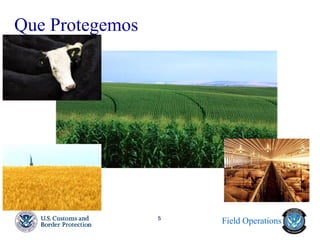 Field Operations 
5 
Que Protegemos  
