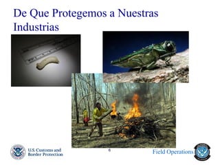 Field Operations 
6 
De Que Protegemos a Nuestras Industrias  