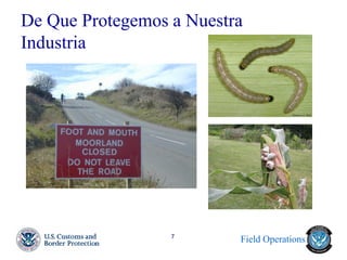 Field Operations 
7 
De Que Protegemos a Nuestra Industria  