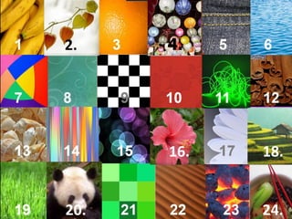 2. 4.
16. 18.
20. 24.
 