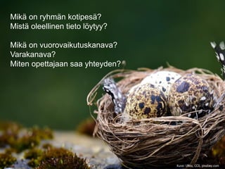 Mikä on ryhmän kotipesä?
Mistä oleellinen tieto löytyy?
Mikä on vuorovaikutuskanava?
Varakanava?
Miten opettajaan saa yhteyden?
Kuva: Ulleo, CC0, pixabay.com
 